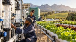 AI-generated editorial view of South African technicians treating polluted water for food production near the Cape Winelands