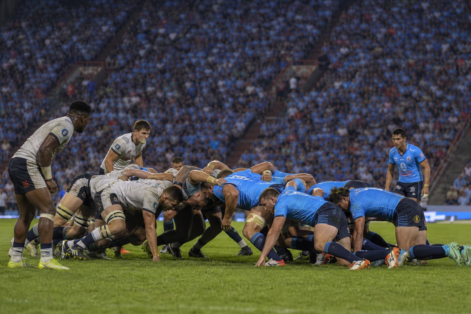 AI-generated editorial illustration for Ackermann backs Bulls for Champions Cup push if home form holds